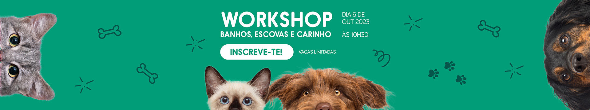 Workshop banhos, tosquias e carinho